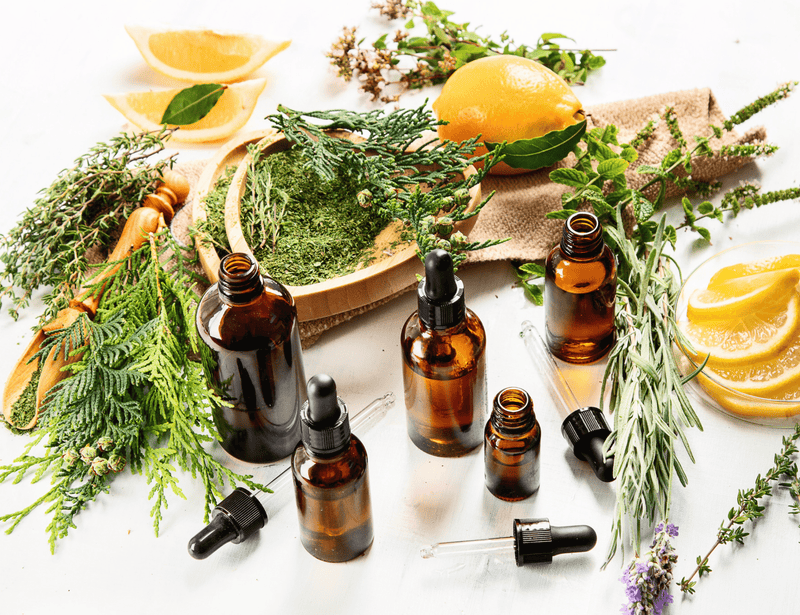 The Benefits of Essential Oils For Plants - The Crafty Kit