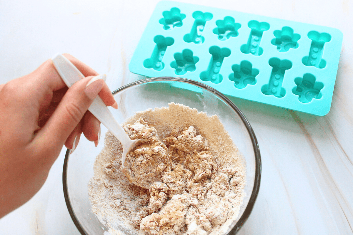 DIY Dog Treats Kit - The Crafty Kit