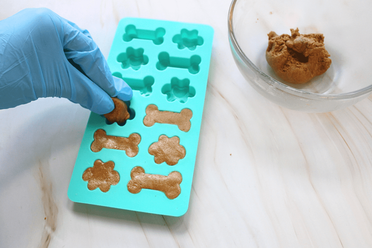 DIY Dog Treats Kit - The Crafty Kit