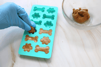 DIY Dog Treats Kit - The Crafty Kit