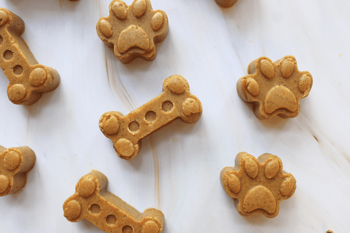 DIY Dog Treats Kit - The Crafty Kit