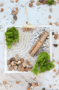 DIY Zen Garden Kit - The Crafty Kit