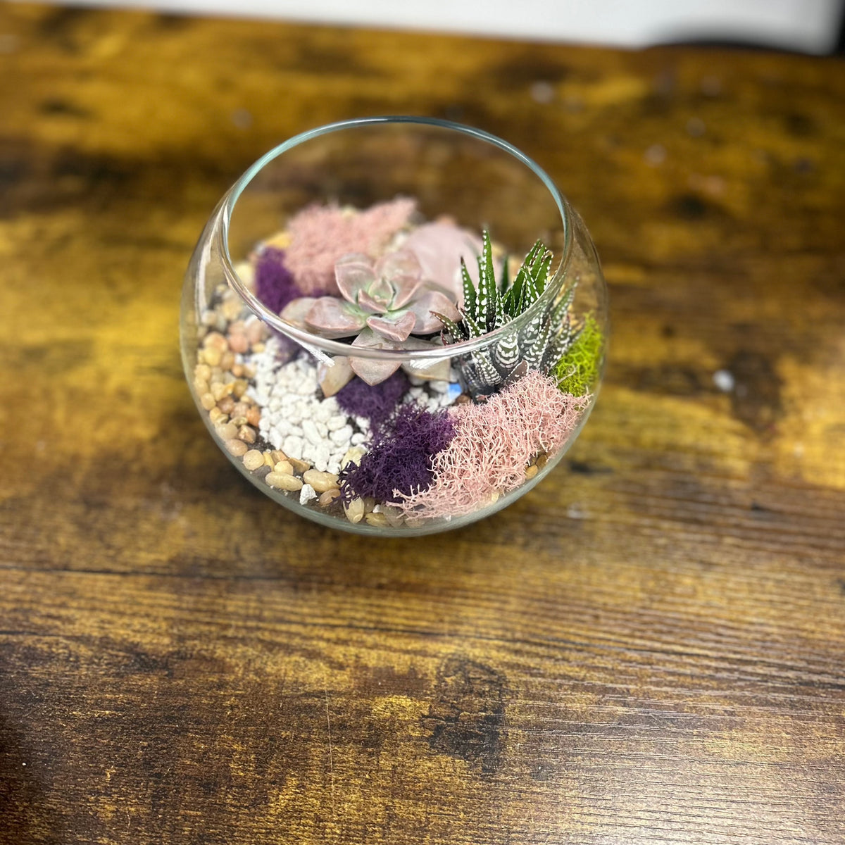 Olivia Rose Quartz Planter Kit