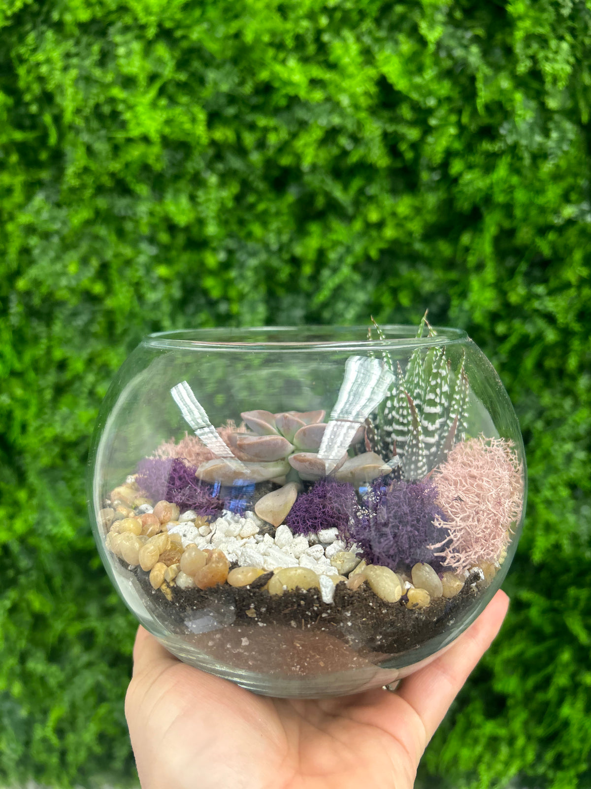 Olivia Rose Quartz Planter Kit