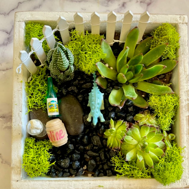 DIY Succulent Terrarium Kits – The Crafty Kit