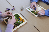 DIY Vertical Moss Wall Art Kit - The Crafty Kit