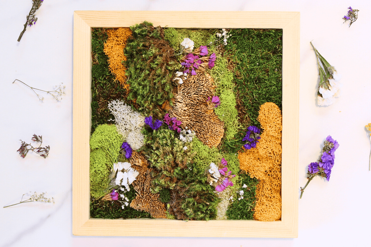 DIY Vertical Moss Wall Art Kit - The Crafty Kit