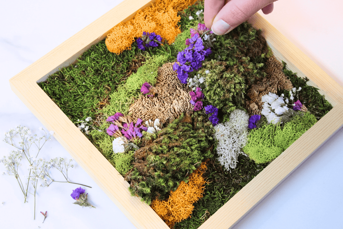 DIY Vertical Moss Wall Art Kit - The Crafty Kit