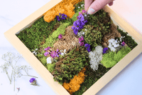 DIY Vertical Moss Wall Art Kit - The Crafty Kit