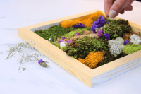 DIY Vertical Moss Wall Art Kit - The Crafty Kit