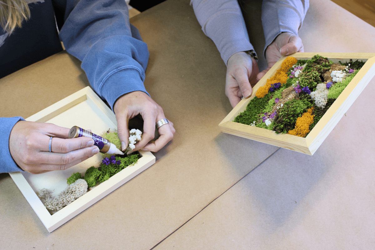 DIY Vertical Moss Wall Art Kit - The Crafty Kit