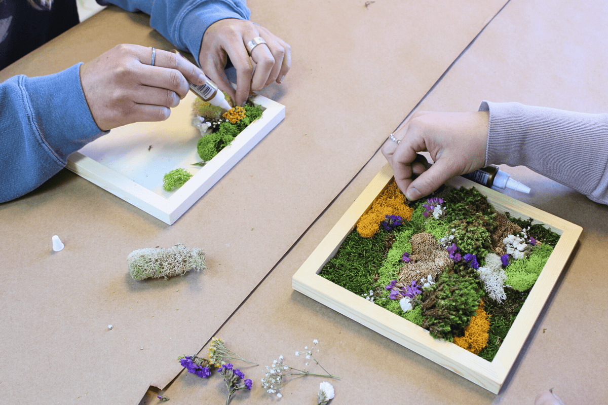 DIY Vertical Moss Wall Art Kit - The Crafty Kit