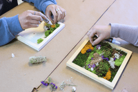 DIY Vertical Moss Wall Art Kit - The Crafty Kit