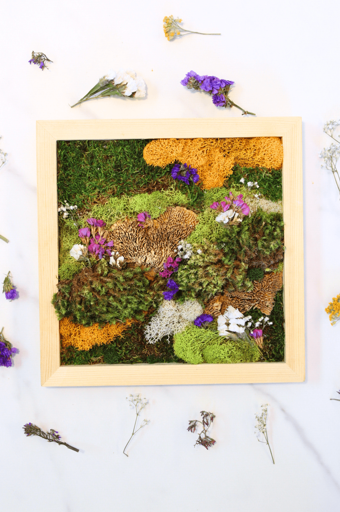 DIY Vertical Moss Wall Art Kit - The Crafty Kit