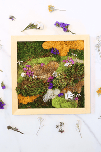 DIY Vertical Moss Wall Art Kit - The Crafty Kit