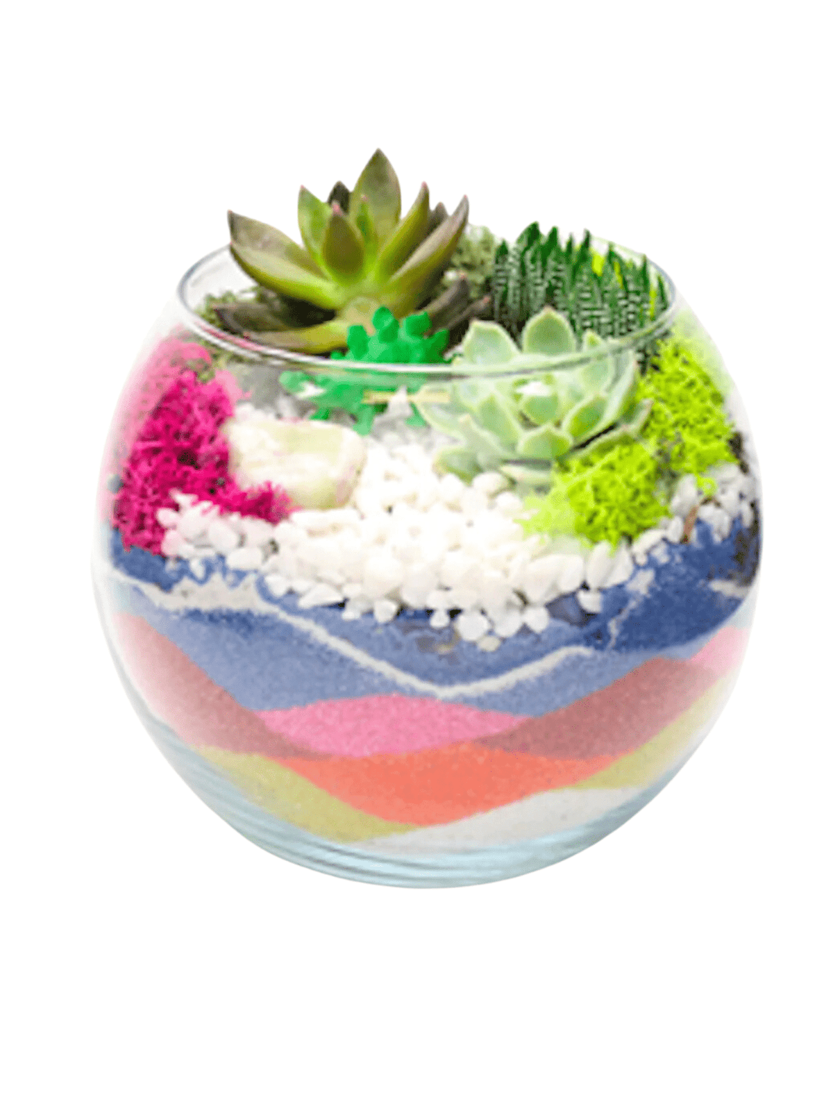 Sand Art Planter Kit - The Crafty Kit