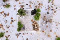 DIY Zen Garden Kit - The Crafty Kit