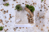 DIY Zen Garden Kit - The Crafty Kit
