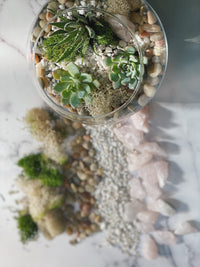 Rose Quartz Planter Kit - The Crafty Kit