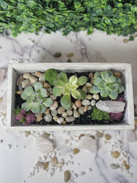 Rose Quartz Rectangle Wooden Planter - The Crafty Kit