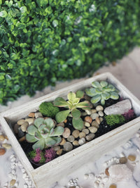 Rose Quartz Rectangle Wooden Planter - The Crafty Kit
