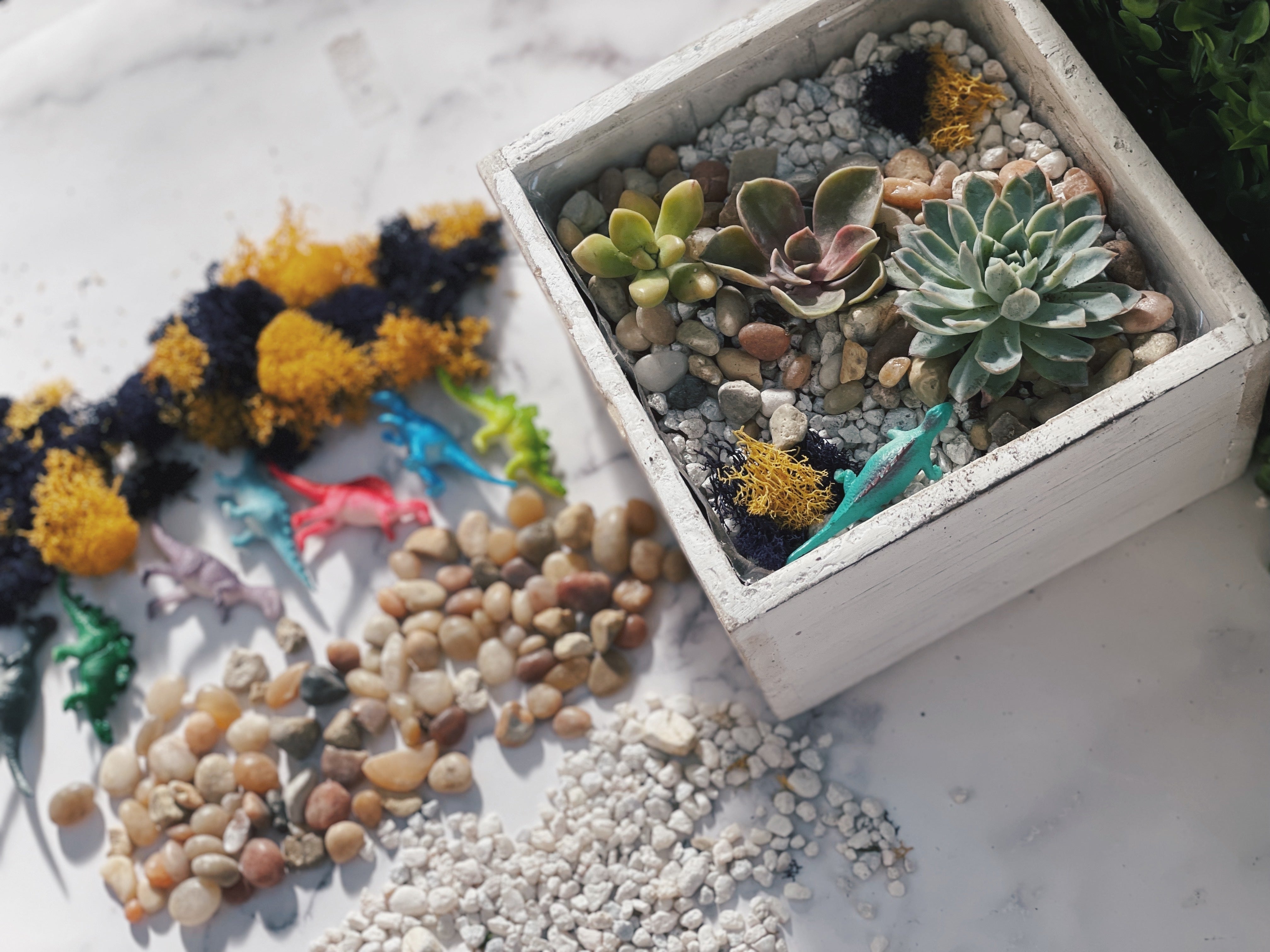 dinosaur succulent planter Dinosaur Garden Planter Kit – The Crafty Kit