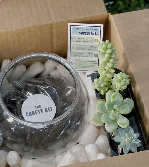 Rose Quartz Planter Kit - The Crafty Kit