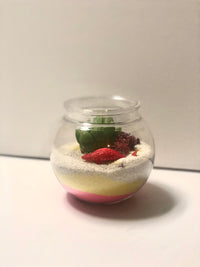 Sand Art Planter Kit (kids version) - The Crafty Kit