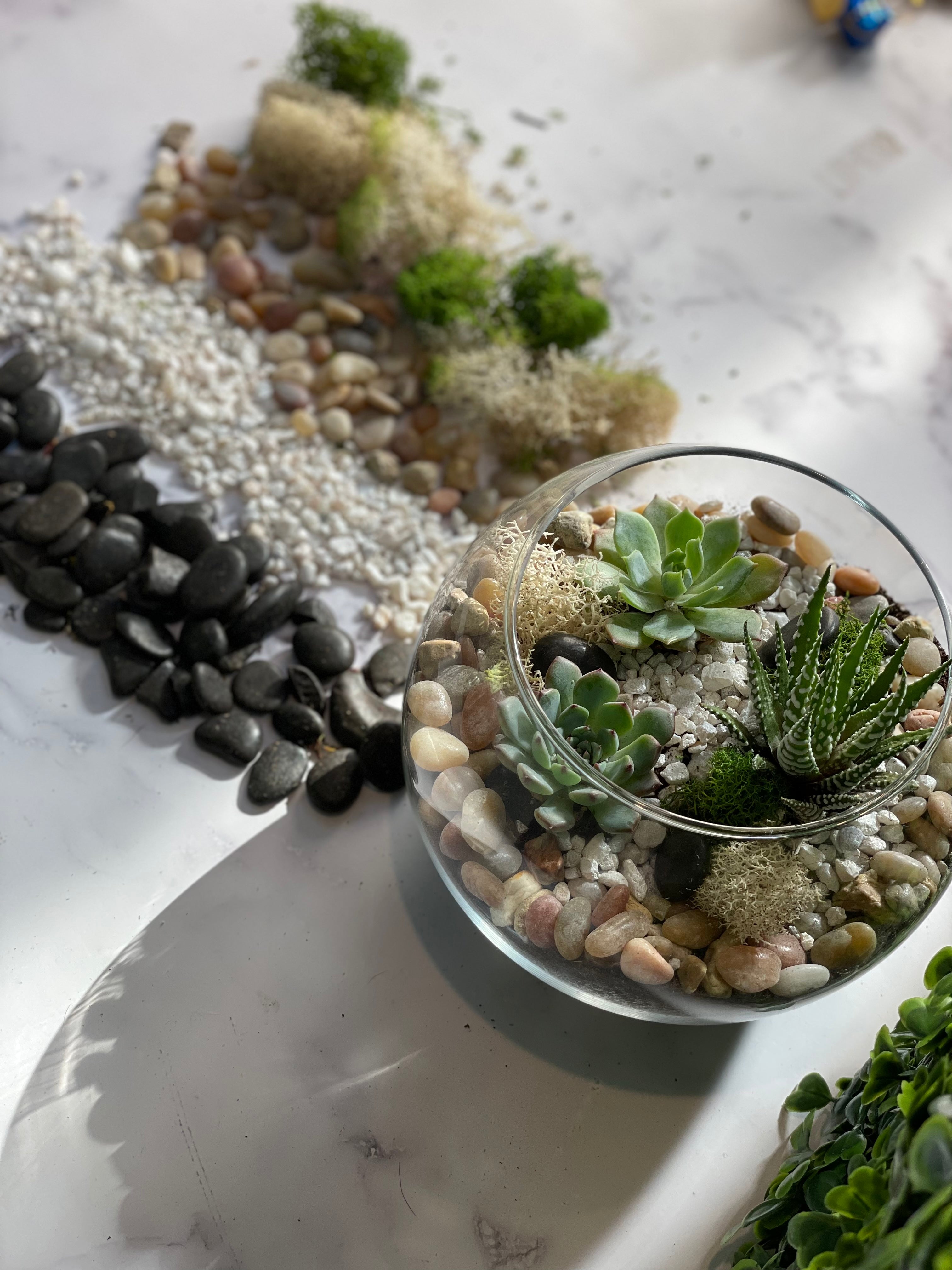diy succulent planter kit Nature Planter Kit