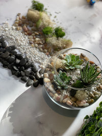 Nature Planter Kit - The Crafty Kit