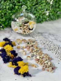 Hanging Globe Planter Kit - The Crafty Kit