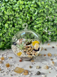 Hanging Globe Planter Kit - The Crafty Kit