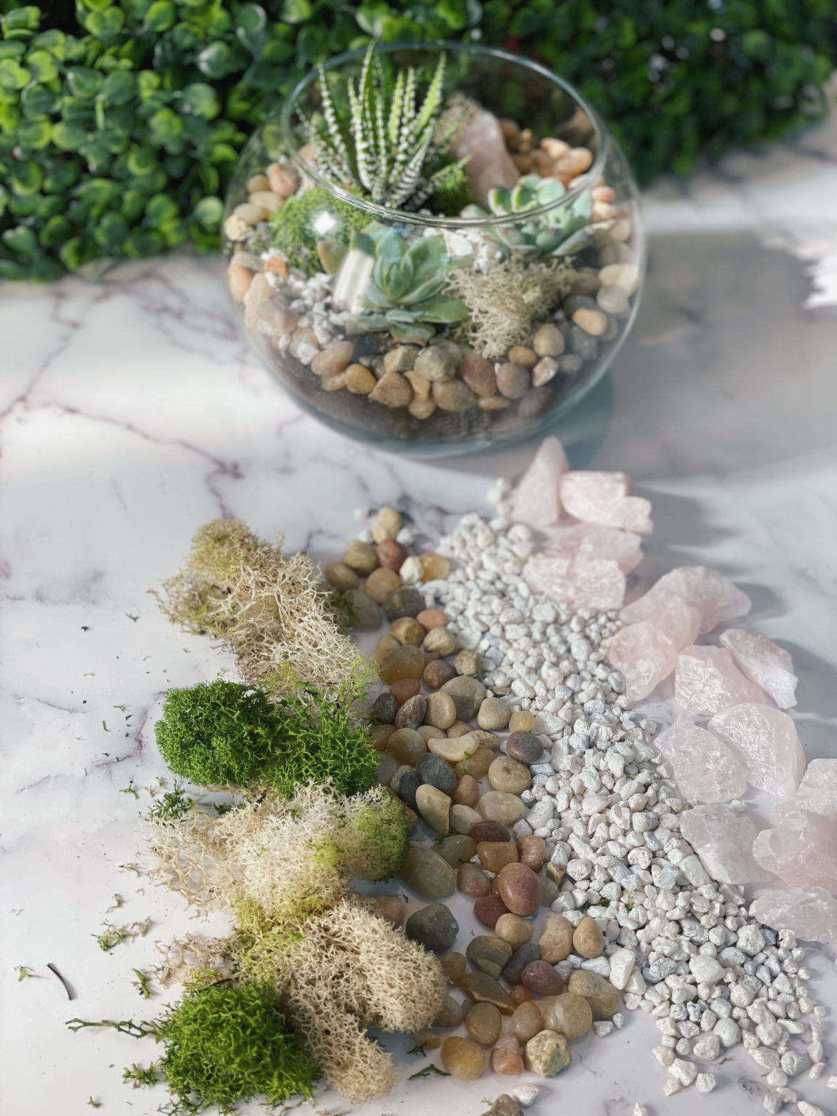 Rose Quartz Planter Kit - The Crafty Kit