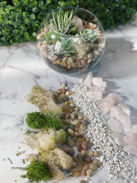 Rose Quartz Planter Kit - The Crafty Kit
