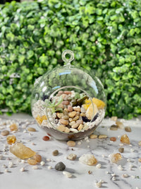 Hanging Globe Planter Kit - The Crafty Kit