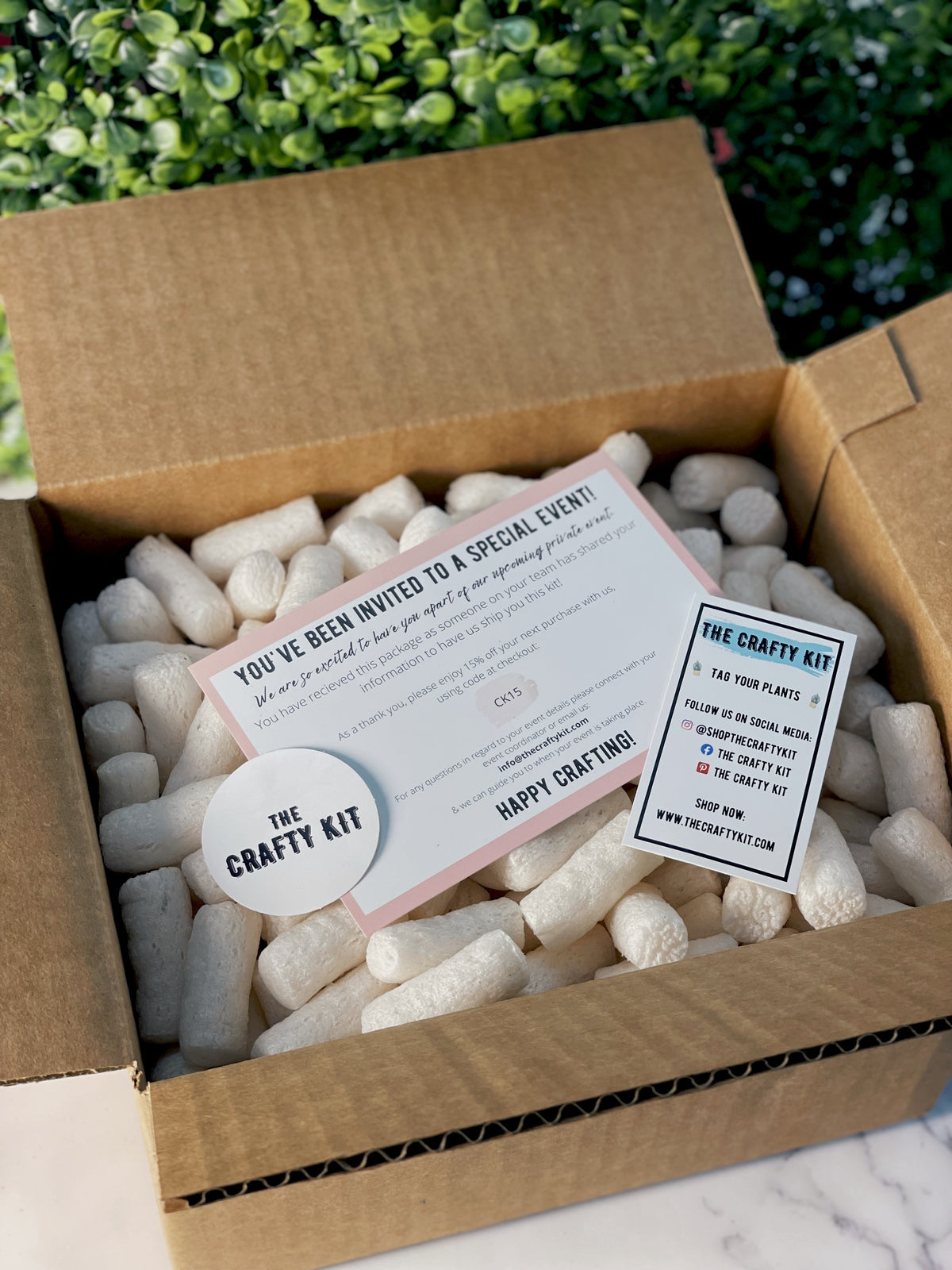 Rose Quartz Planter Kit - The Crafty Kit