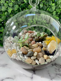 Hanging Globe Planter Kit - The Crafty Kit