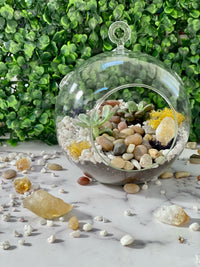 Hanging Globe Planter Kit - The Crafty Kit