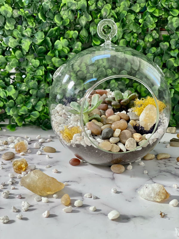 Hanging Globe Planter Kit - The Crafty Kit
