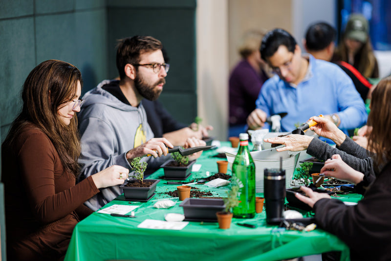 The Ultimate Guide to Engaging Your Team This Earth Day: Creativity, Wellness, and Sustainability - The Crafty Kit