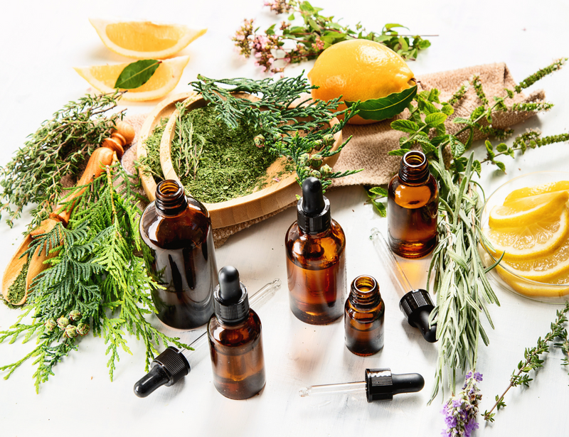 The Benefits of Essential Oils For Plants