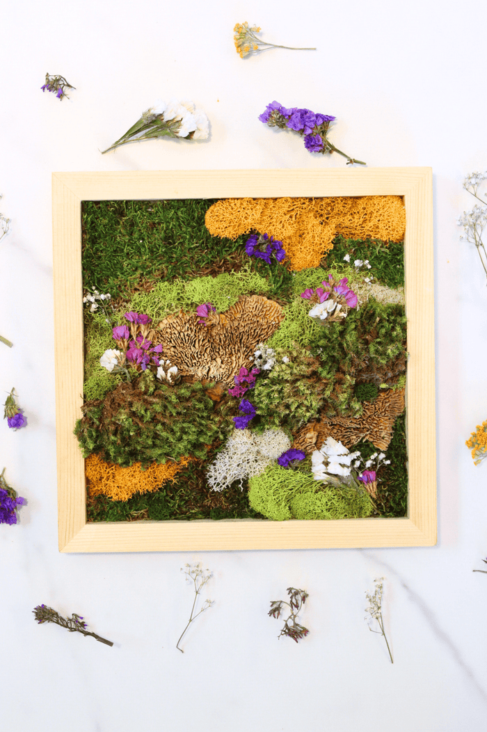 Vertical Moss Wall Kits - The Crafty Kit