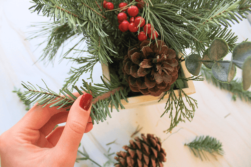 DIY Live Greens Winter Centerpiece Kit - The Crafty Kit