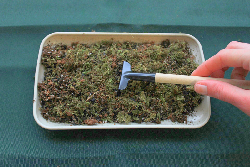 3.png__PID:e72109fa-945a-4b9c-a41e-a8faf9c40f62