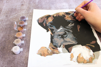 DIY Paint Your Pet Kit