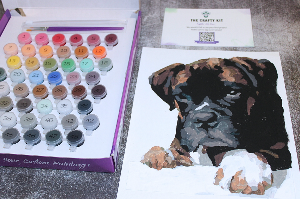 DIY Paint Your Pet Kit