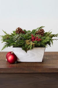 DIY Live Greens Winter Centerpiece Kit