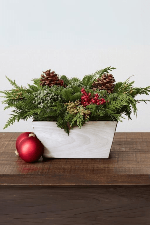 DIY Live Greens Winter Centerpiece Kit - The Crafty Kit