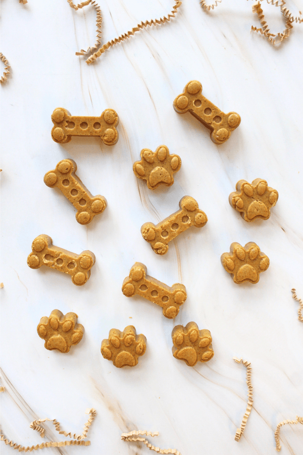 DIY Dog Treats Kit - The Crafty Kit