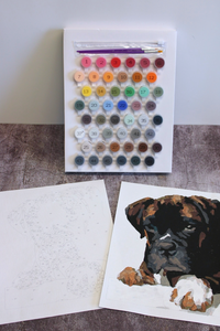 DIY Paint Your Pet Kit